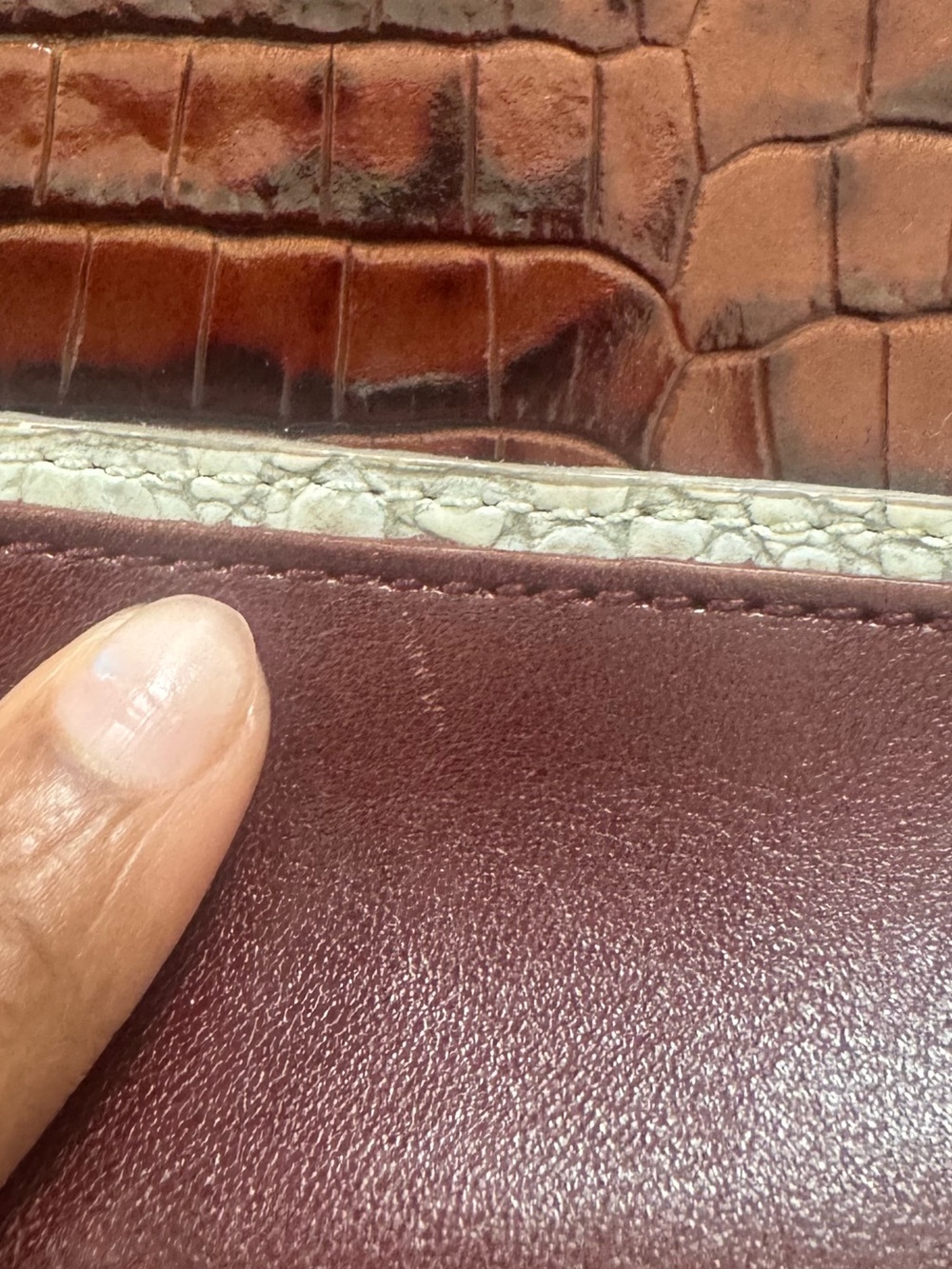 Brahmin Asher Mini - Picture 2 of 6